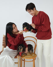 Dachshund Off-shoulder Sweater